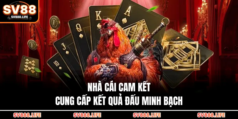 Nhà cái cam kết cung cấp kết quả đấu minh bạch