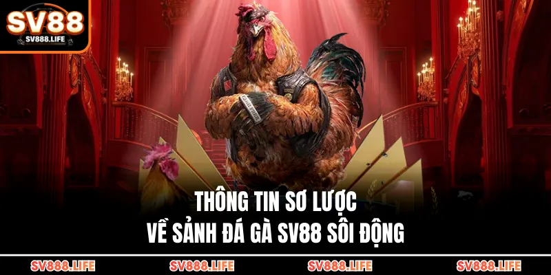 Thông tin sơ lược về sảnh đá gà SV88 sôi động